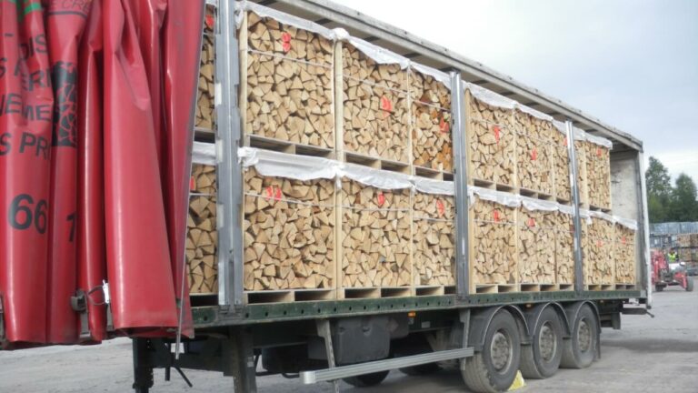 Vrachtwagen met brandhout op pallets