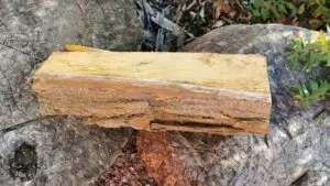 Bûche d'acacia