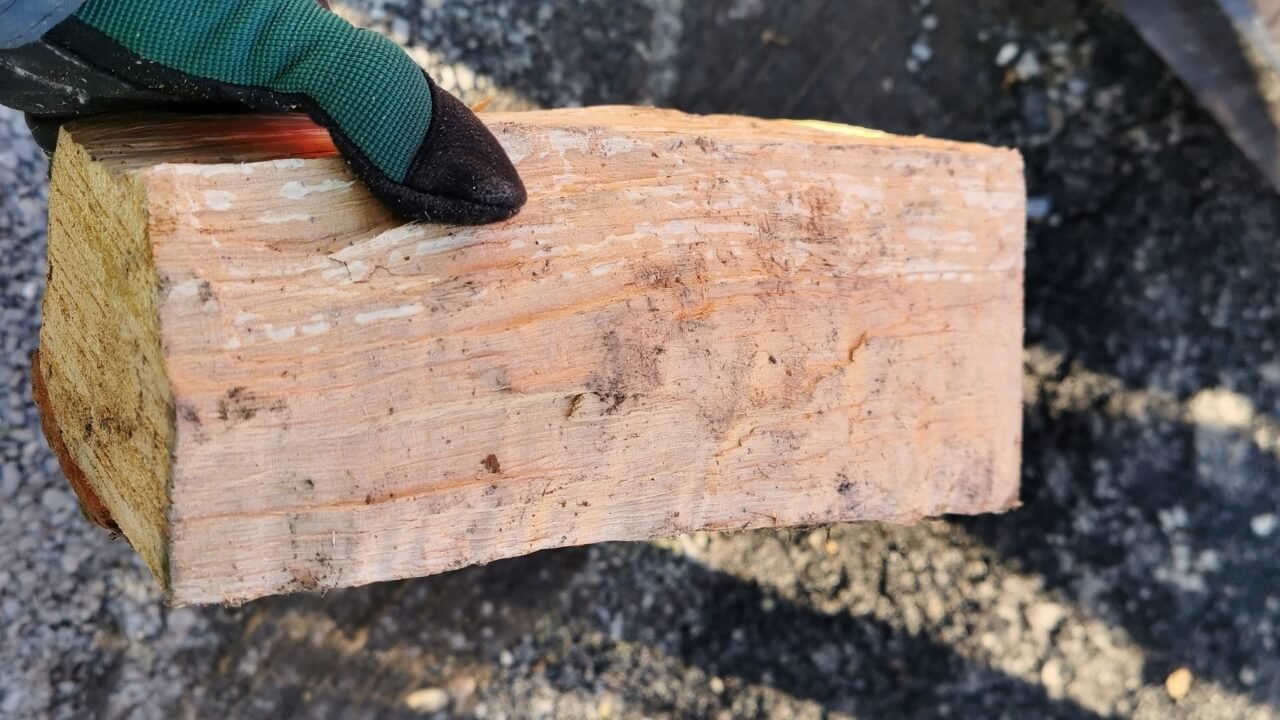 Reconnaître les essences de bois de chauffage Sotransbois — free download