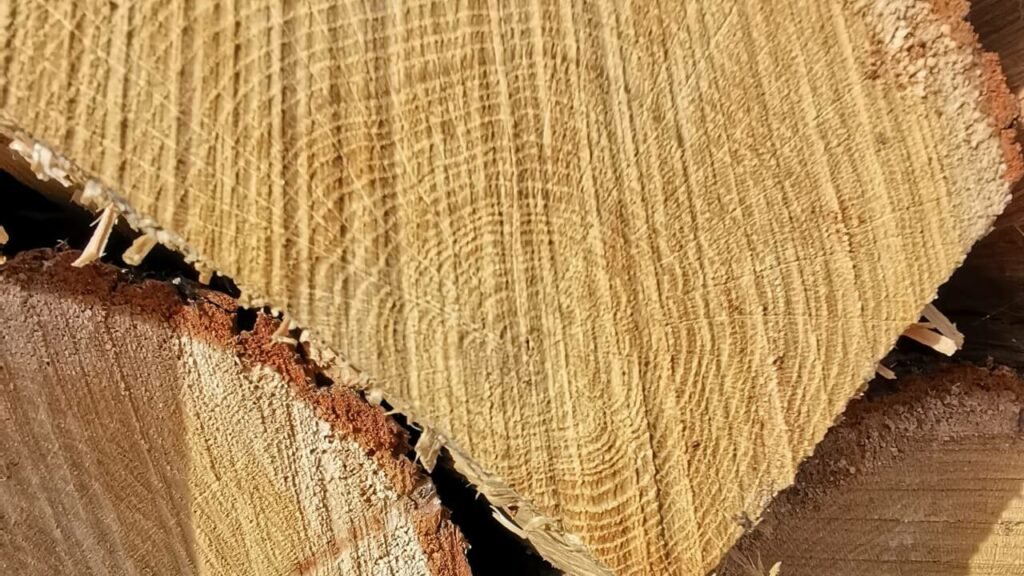Reconnaître les essences de bois de chauffage Sotransbois — free download