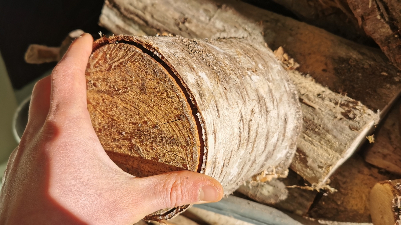 Mesurer et comprendre l'humidité du bois de chauffage - ONF