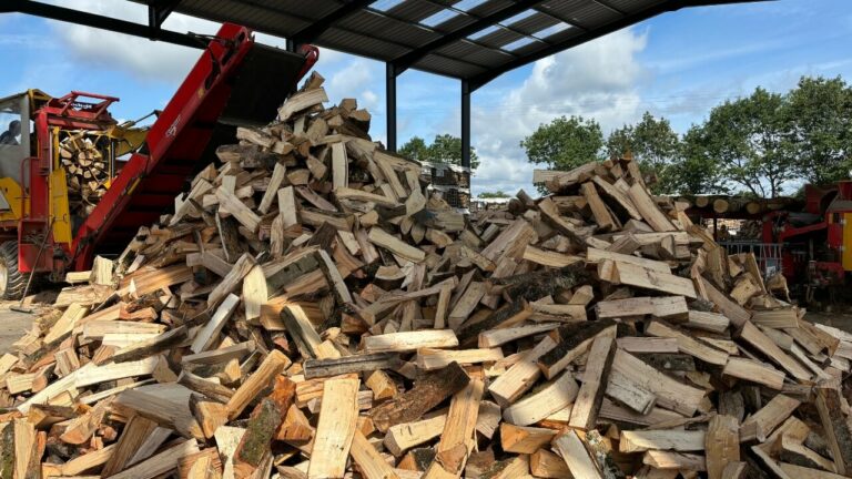 production bois de chauffage rabaud