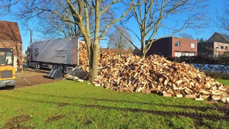 bulklevering van brandhout