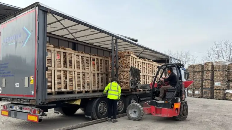 Palettes de bois de chauffage 2m³