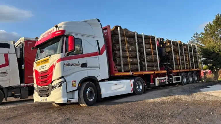 bois de chauffage en 2m (1)
