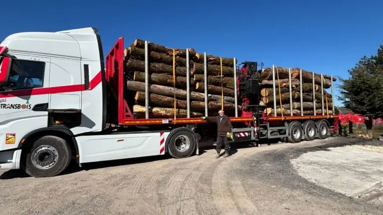 camion bois de chauffage 2m et 4m