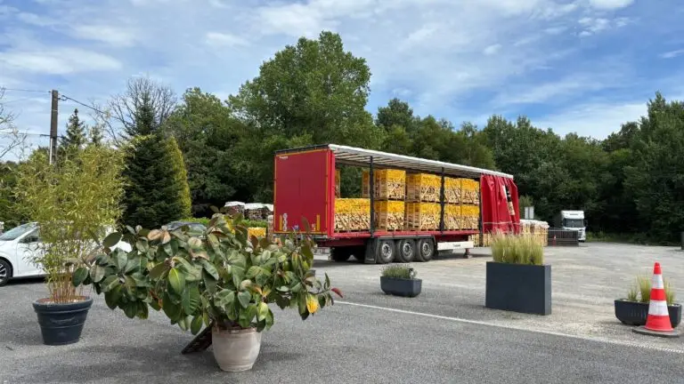sotransbois producteur de palette de bois de chauffage 1,20 m³