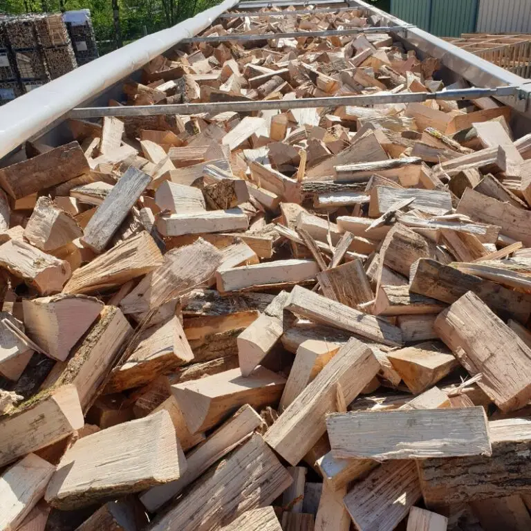 Bewegende vloer eik haagbeuk beuk es