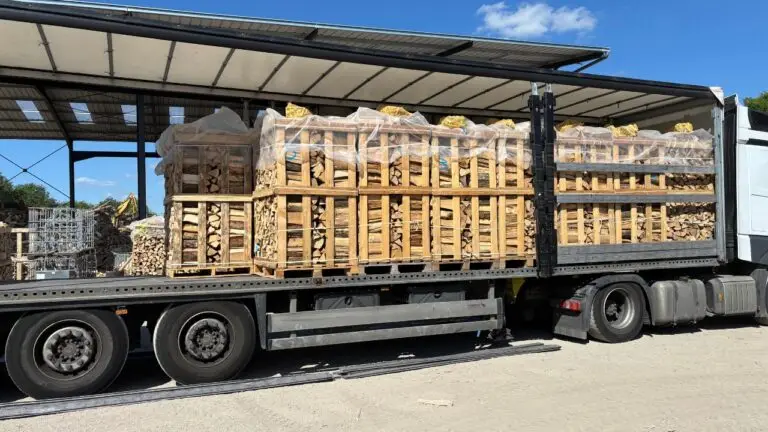 allume-feu et bois de chauffage