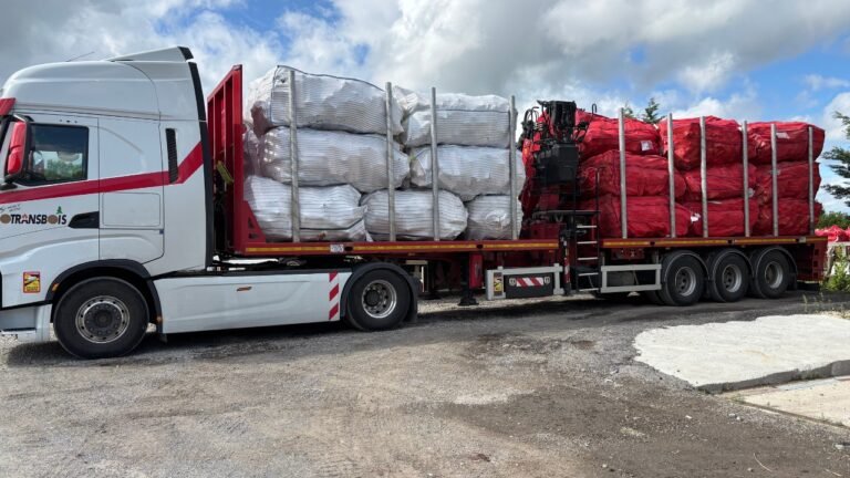 camion bois de chauffage