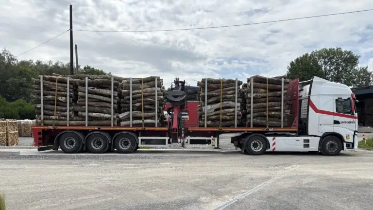 camion de bois de chauffage en 2m
